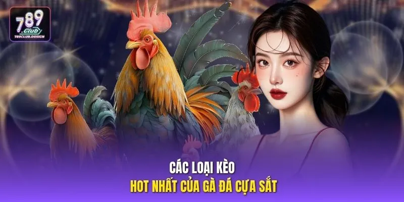 Các loại kèo hot nhất của gà đá cựa sắt